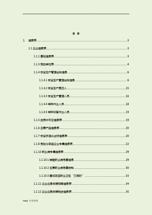 危化品企业信息表模板