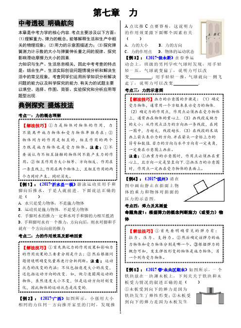 中考物理热点命题方法技巧07专题七 力