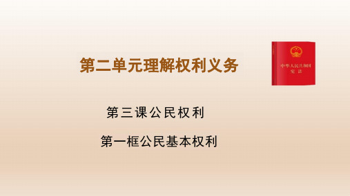 3.1 公民基本权利 课件-2023-2024学年统编版道德与法治八年级下册