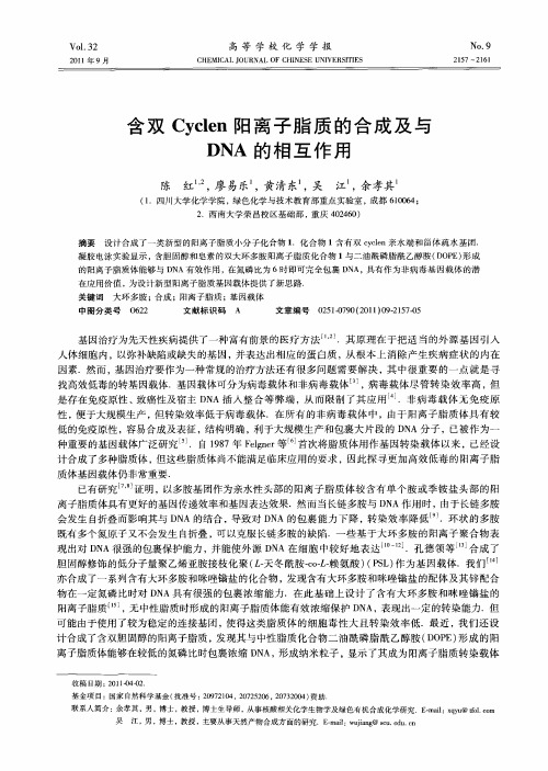 含双Cyclen阳离子脂质的合成及与DNA的相互作用