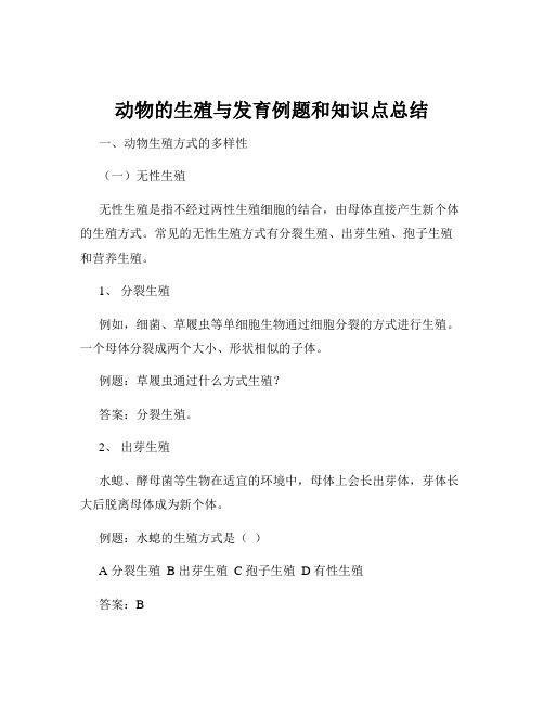 动物的生殖与发育例题和知识点总结