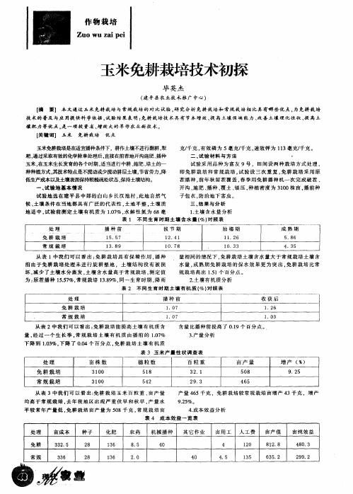 玉米免耕栽培技术初探