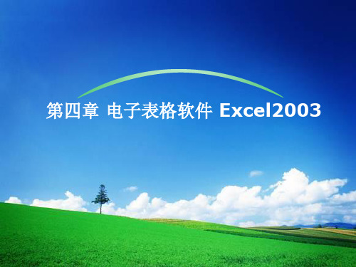 第4章 电子表格软件Excel2003