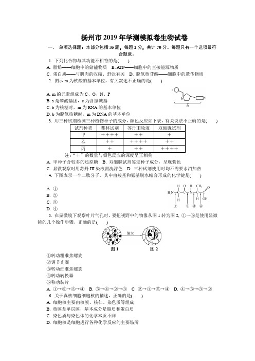 扬州市2019年学测模拟卷生物试卷及答案