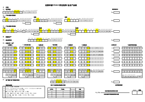 过程审核VDA6.3评定矩阵 包含产品组