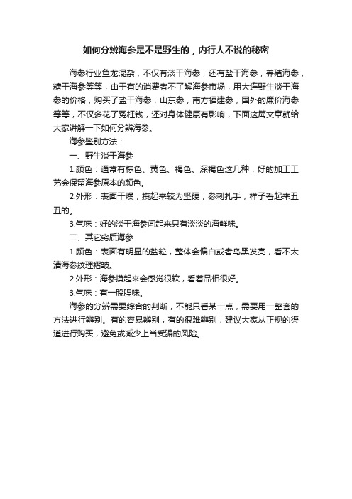 如何分辨海参是不是野生的，内行人不说的秘密