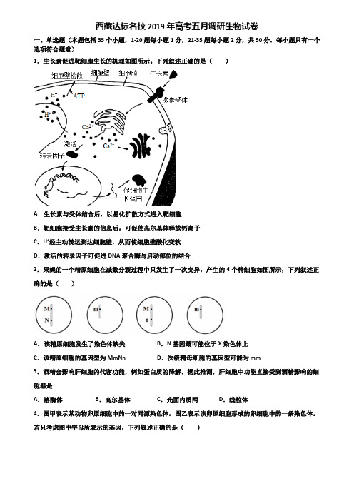 西藏达标名校2019年高考五月调研生物试卷含解析