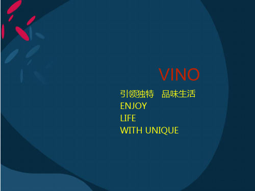 VINO介绍