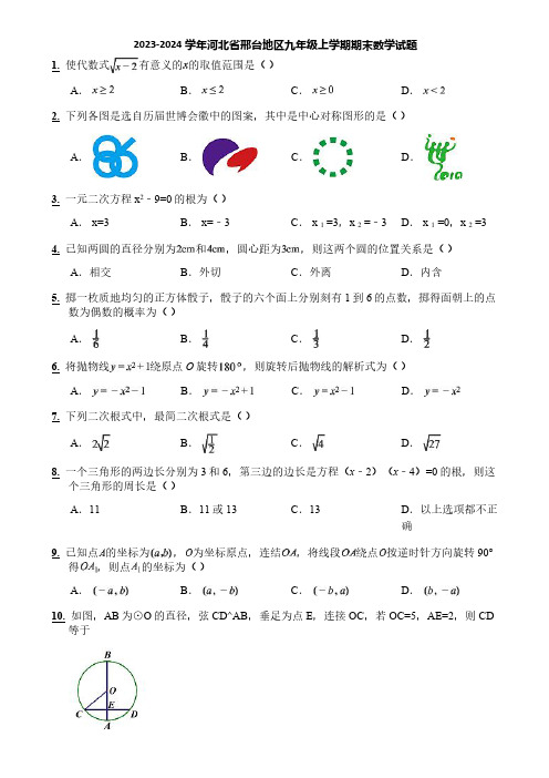 2023-2024学年河北省邢台地区九年级上学期期末数学试题