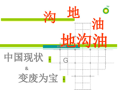 中国现状-地沟油