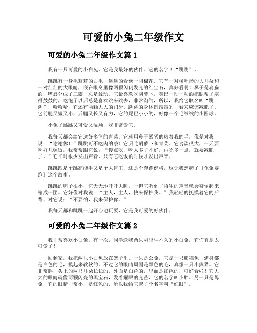 可爱的小兔二年级作文