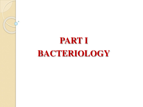 最新医学微生物学英文课件 Ch1-1 细菌形态、结构