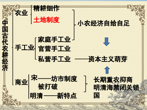 书社版高中历史必修二1.2《中国古代的土地制度》课件(21张)(共21张PPT)