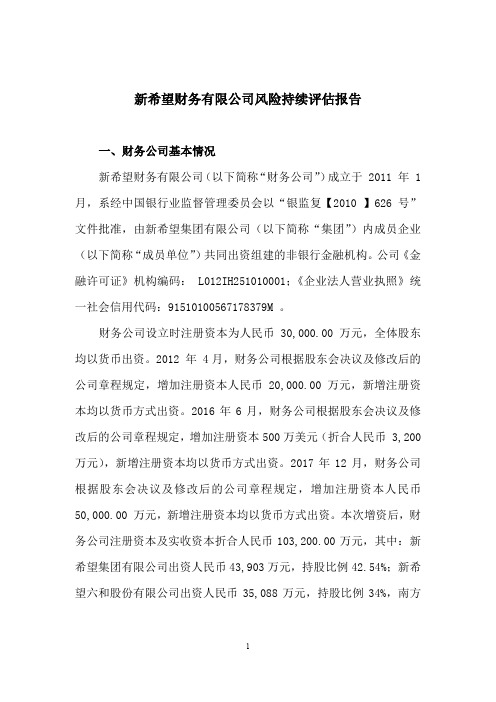 新 希 望:新希望财务有限公司风险持续评估报告
