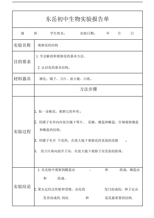 观察花的结构实验报告