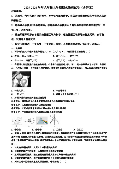 北京市丰台区2019-2020学年物理八年级上学期期末检测试题