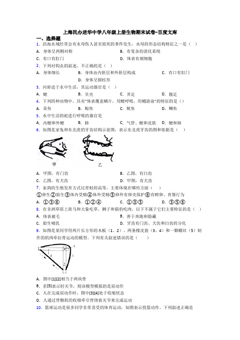 上海民办进华中学八年级上册生物期末试卷-百度文库