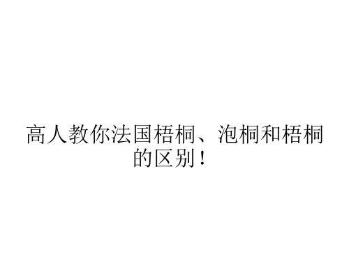 高人教你法国梧桐、泡桐和梧桐的区别!