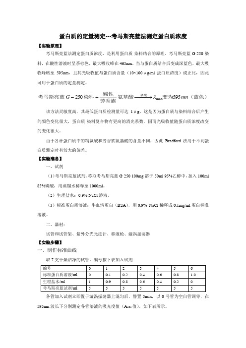 蛋白质的定量测定---考马斯亮蓝法测定蛋白质浓度