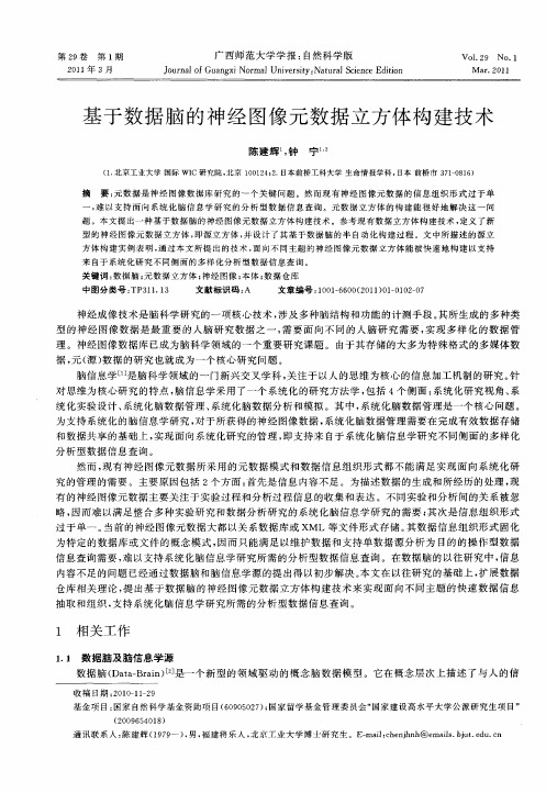 基于数据脑的神经图像元数据立方体构建技术