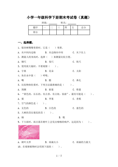 小学一年级科学下册期末考试卷(真题)