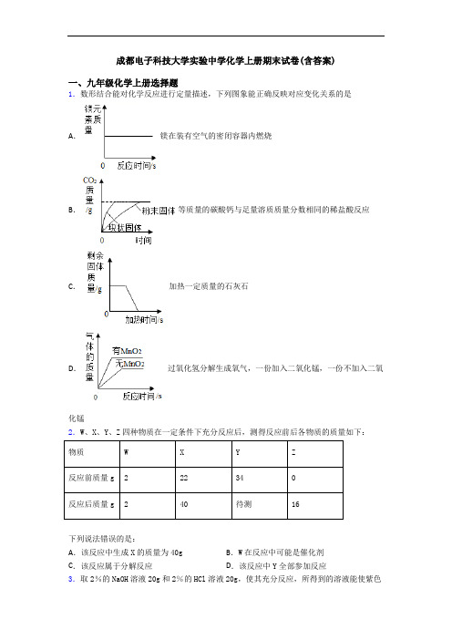 成都电子科技大学实验中学化学初三化学上册期末试卷(含答案)