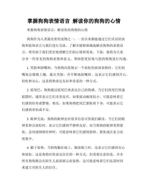 掌握狗狗表情语言  解读你的狗狗的心情