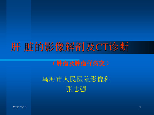 科内讲课肝脏的影像学解剖及ct诊断