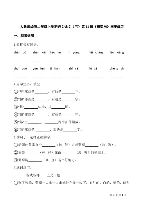 人教部编版二年级上学期语文课文(三)第11课《葡萄沟》同步练习