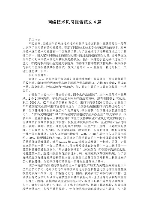 网络技术见习报告范文4篇