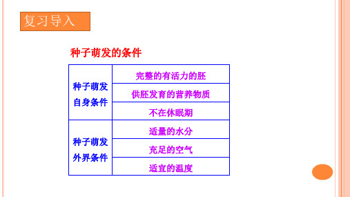 (完整)七上 人教版 植株的生长课件精品PPT资料精品PPT资料