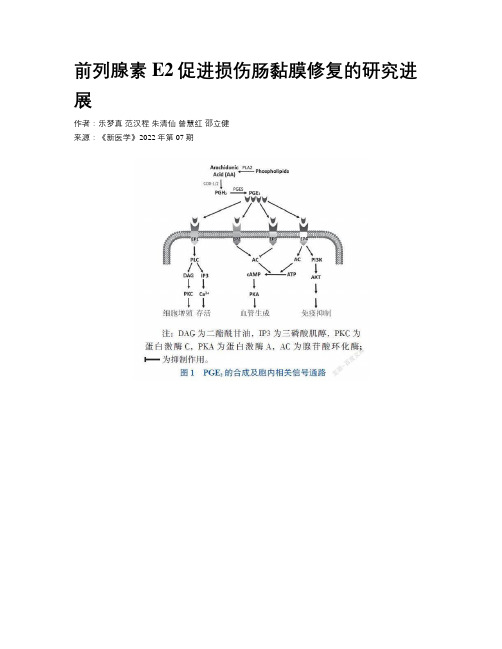 前列腺素E2促进损伤肠黏膜修复的研究进展