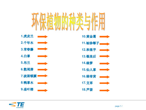 环保植物大全