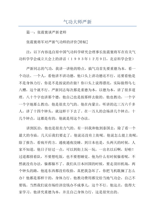 气功大师严新