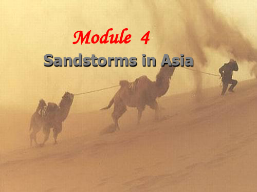 高中英语 Module4 Sandstorms in Asia Reading and Vocabulary课件 外研社必修3 精品