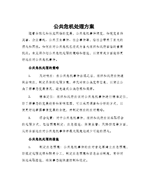 公共危机处理方案