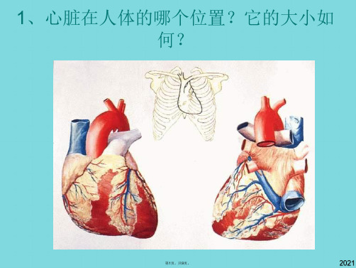 青岛小学科学五年级下册心脏和血管(与“功能”相关文档共9张)