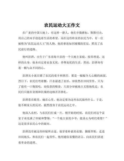 农民运动大王作文