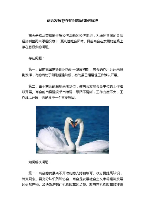 商会发展存在的问题及如何解决