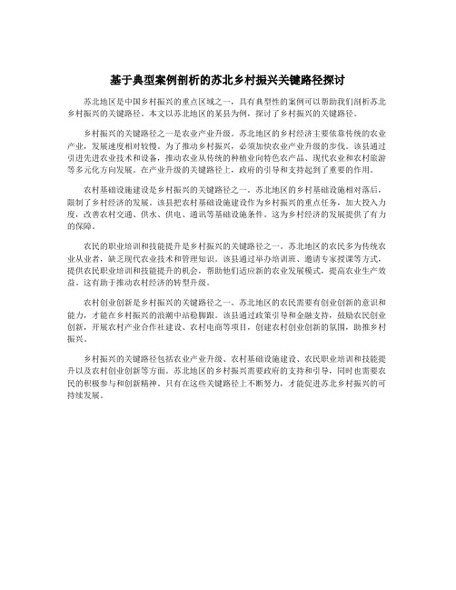 基于典型案例剖析的苏北乡村振兴关键路径探讨