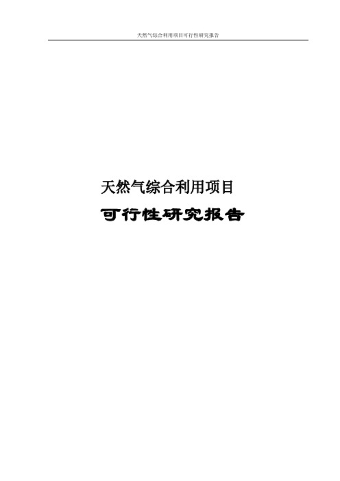 天然气综合利用项目可行性研究报告