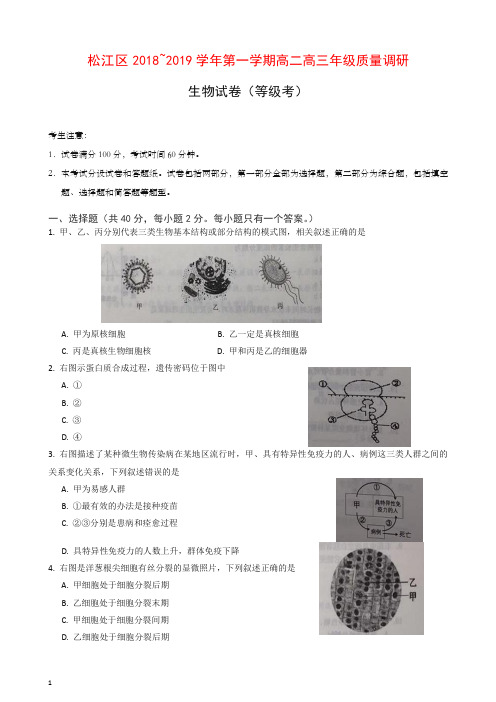 (推荐)松江区2019年秋高二高三第一学期期末(一模)学科质量检测生物试题及答案.doc