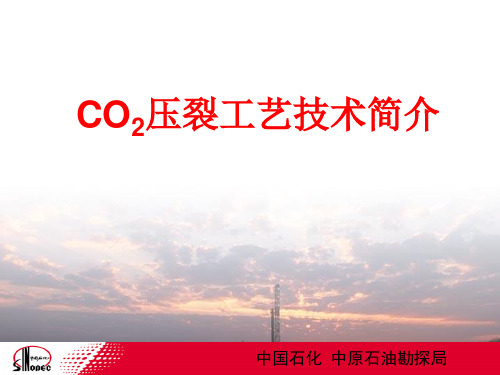 [实用参考]CO2压裂工艺技术简介.ppt