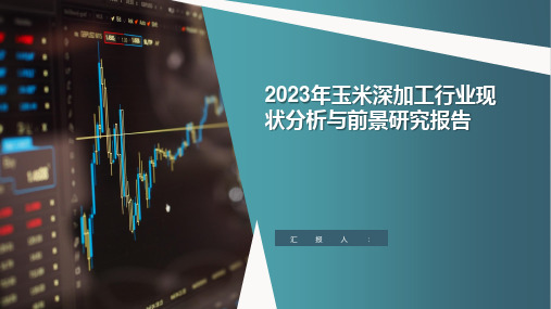 2023年玉米深加工行业现状分析与前景研究报告