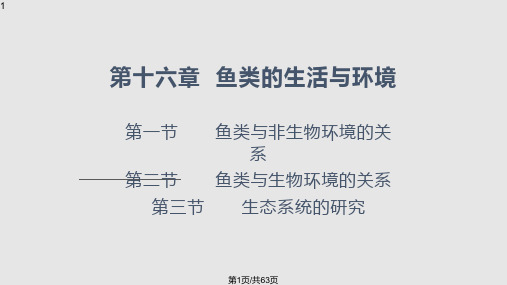 鱼类的生活与环境PPT课件