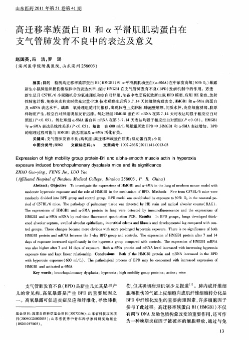 高迁移率族蛋白B1和α平滑肌肌动蛋白在支气管肺发育不良中的表达及意义