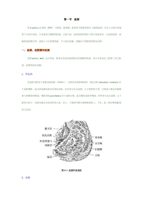 盆底解剖