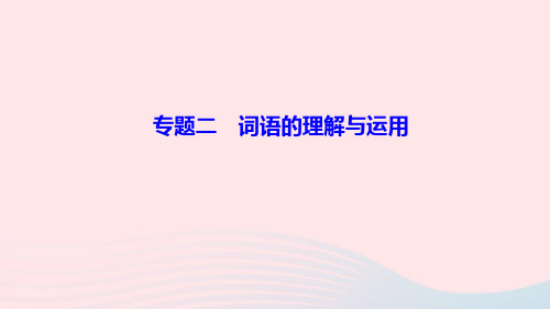 九年级语文上册期末专题复习二词语的理解与运用作业课件新人教版