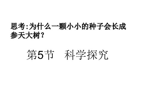 浙教版七年级科学《科学探究》课件