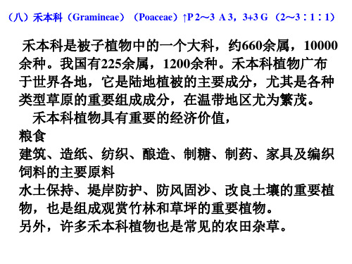 《植物学》百合科 禾本科